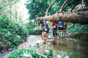 BIB: 
                            <button type="button" onclick="openModal(25459407)" class="btn btn-primary btn-sm float-right btn-popup" data-toggle="modal" data-target=".modal-high-quality">
                        <i class="fas fa-shopping-cart"></i> Add to Cart
                    </button>
                                            <button type="button" onclick="isThisMe(25459407, true)" class="btn btn-success btn-sm float-right btn-popup btn-isme hidden" data-toggle="tooltip" data-placement="bottom" title="นี่คือรูปของคุณใช่ไหม คลิกที่นี่เพื่อเอาเข้าอัลบั้ม">
                        <i class="fas fa-plus"></i> Add to album
                    </button>
                    <button type="button" onclick="isThisMe(25459407, false)" class="btn btn-warning btn-sm float-right btn-popup btn-isnotme hidden">
                        <i class="fas fa-ban"></i> Remove from album
                    </button>